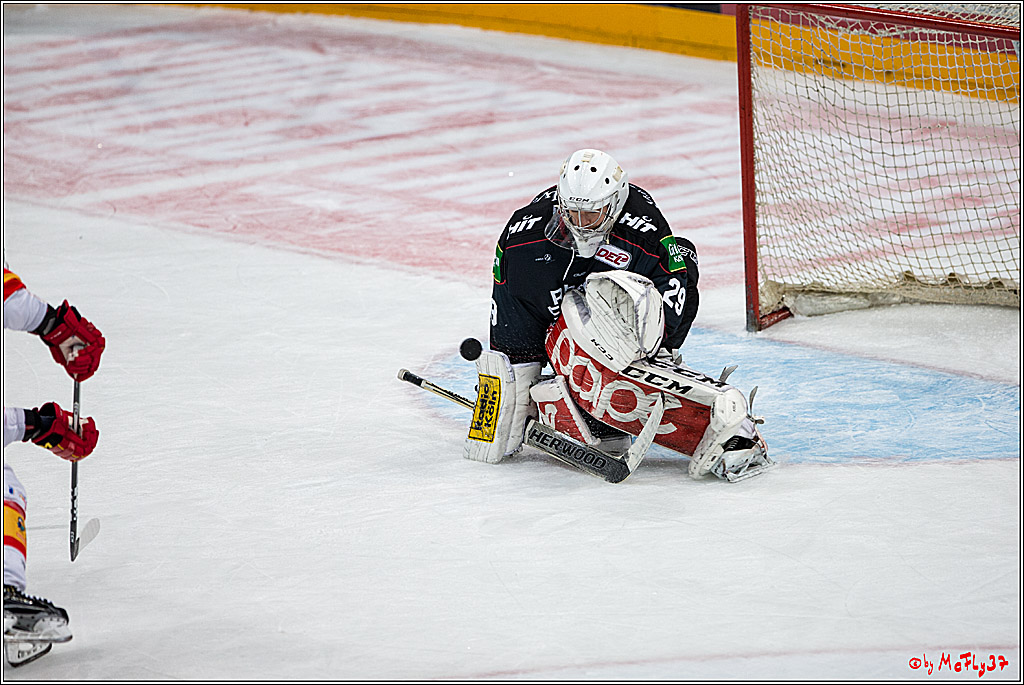 Koelner Haie - Duesseldorfer EG, 18.12.2016